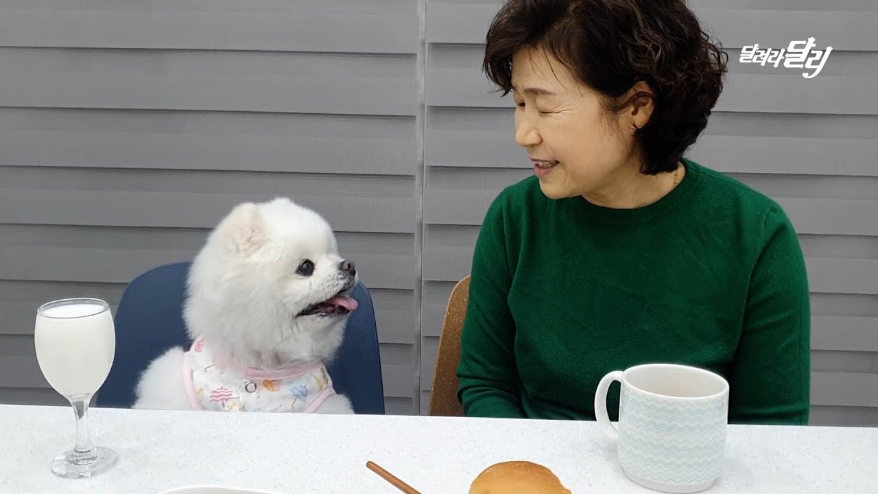'그때 달리한테 왜 그랬어요?' 달리 미워했던 엄마가 8년만에 밝히는 이유