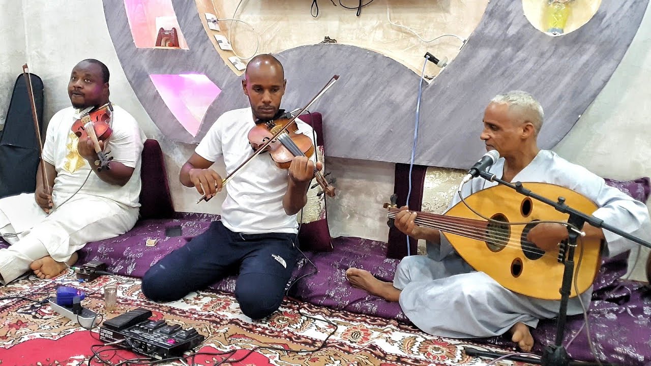 مقطوعة موسيقية محلية رائعة من تأليف الفنان القدير  حميدة ابني  🇩🇿 بأداء جميل 👌💪