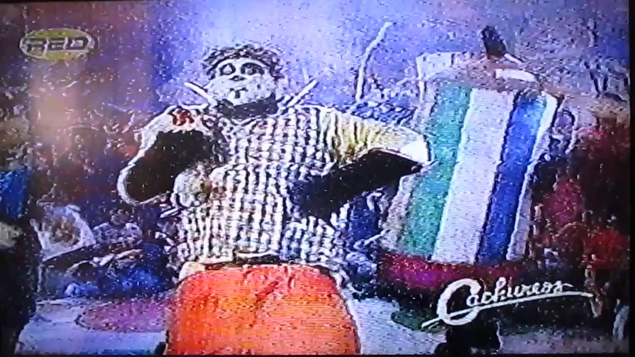 Cachureos 2005 Gato le le
