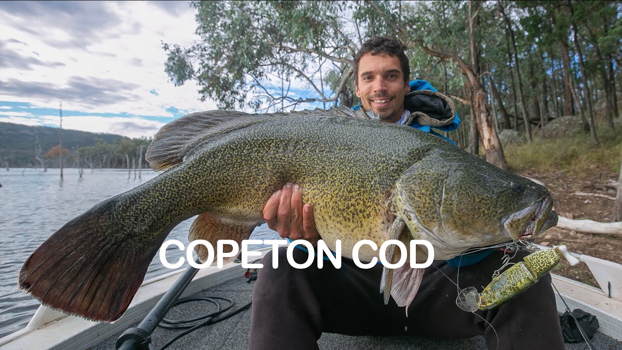 Catching Copeton Dam Murray Cod