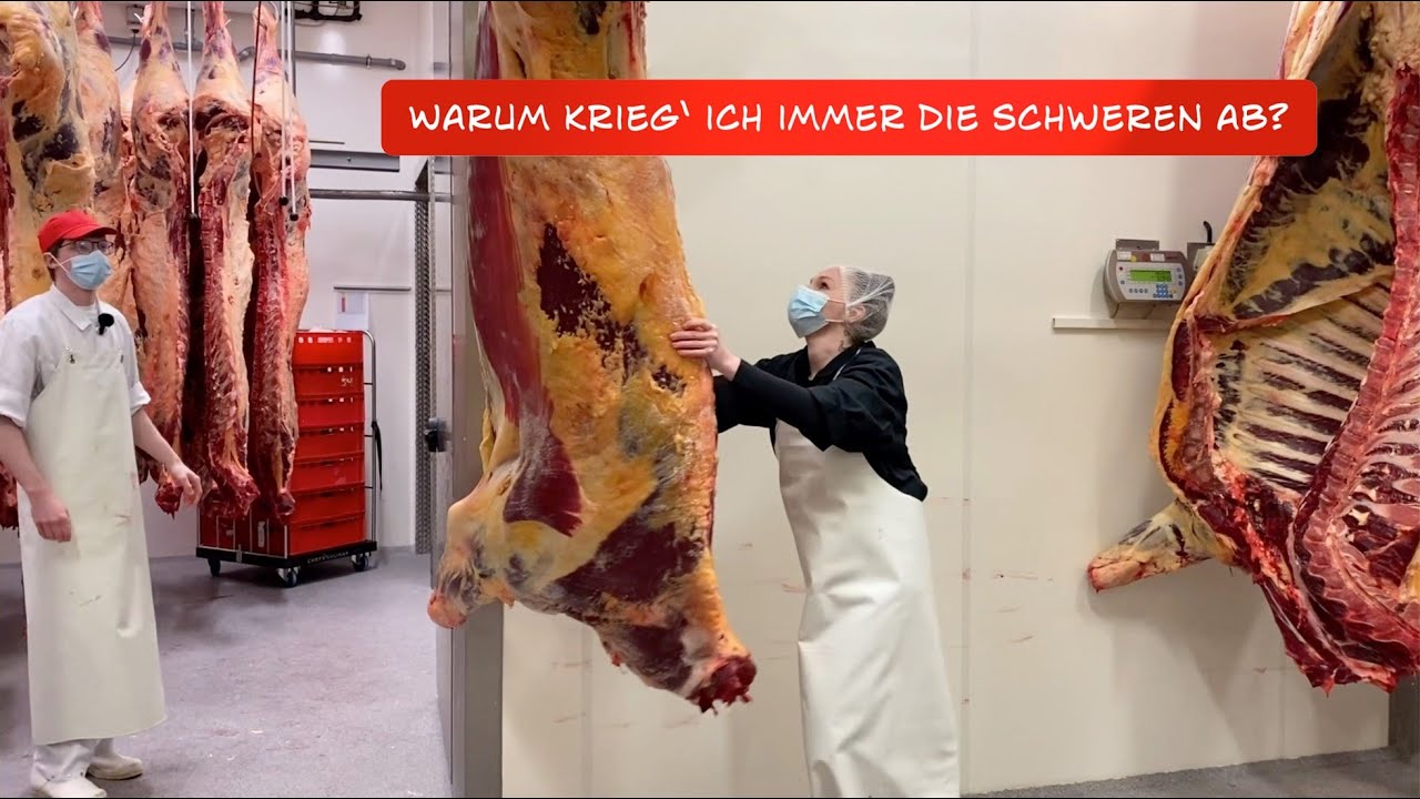 Jenny's Journey: Rinderzerlegung in Kalübbe