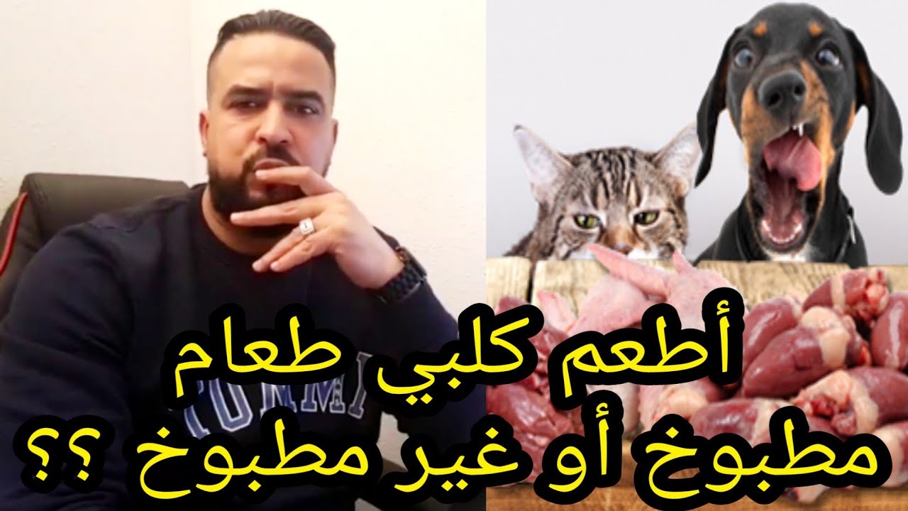 إطعام الكلب اللحم الني أم اللحم المطبوخ أم الكروكيط 🐶 comment nourrir un chien ( le barf )