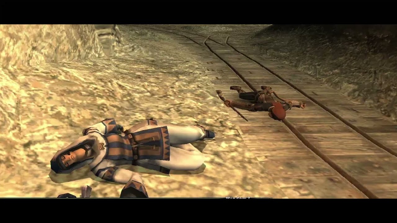 How to install FFXI, Windower, and Notepad ++