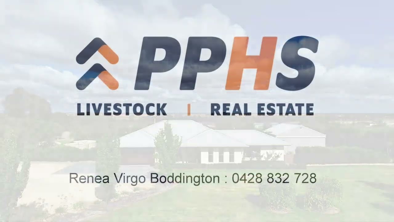 262 Cedar Avenue, Naracoorte - PPHS