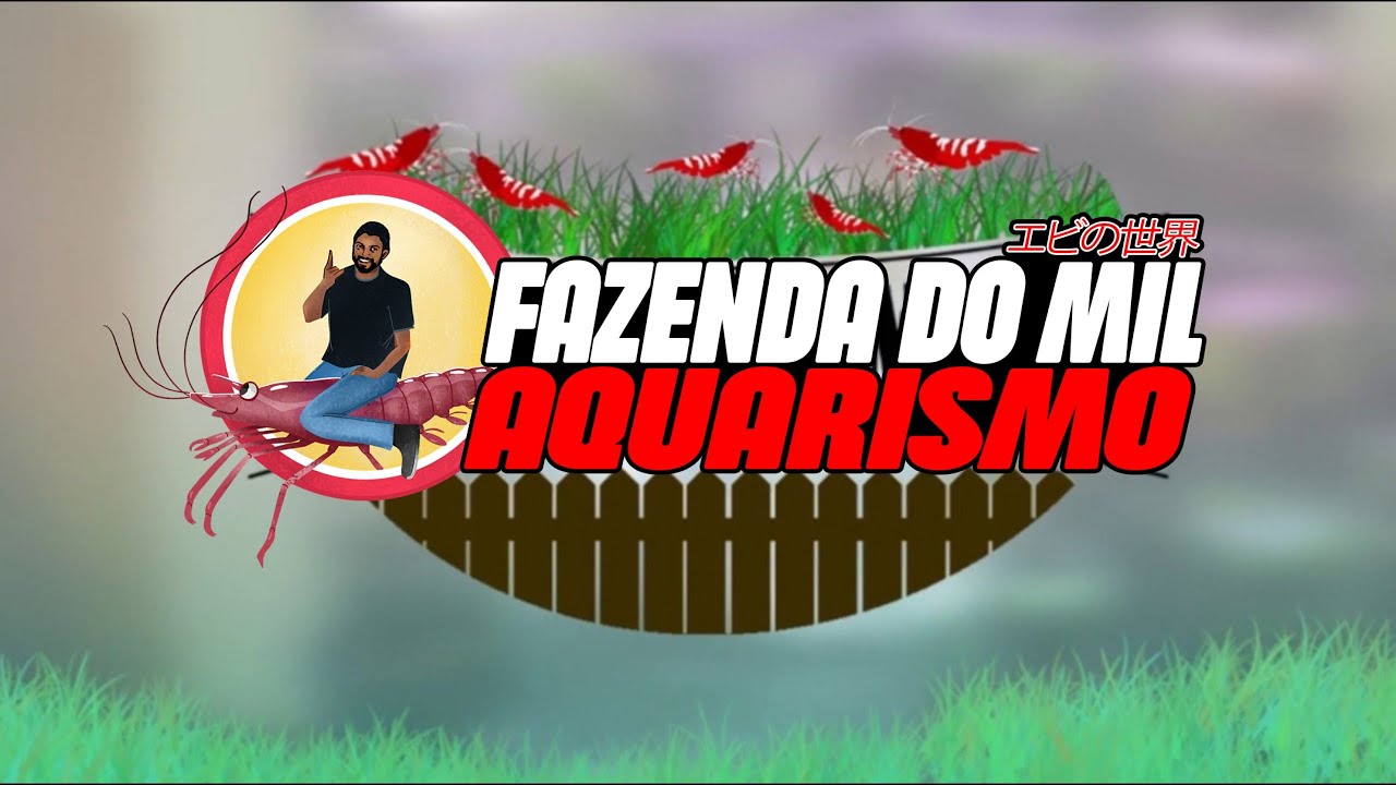 COMO FAZER TPA DO SEU AQUÁRIO