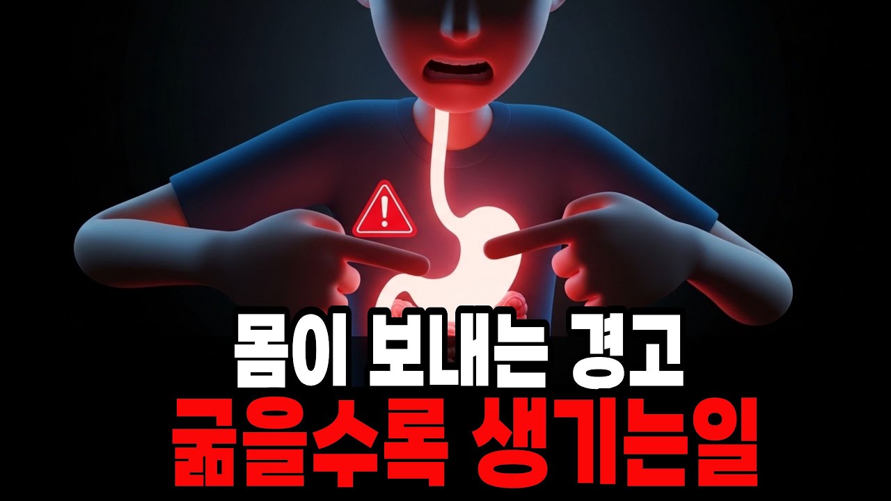 이거 모르고 1일1식 하면 몸 망가집니다