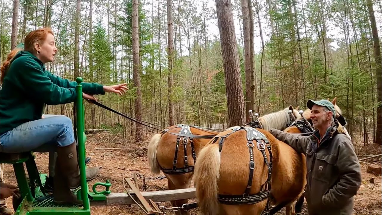 Draft Horse Logging Course @ Paul Smiths College & Barn Tour!!!