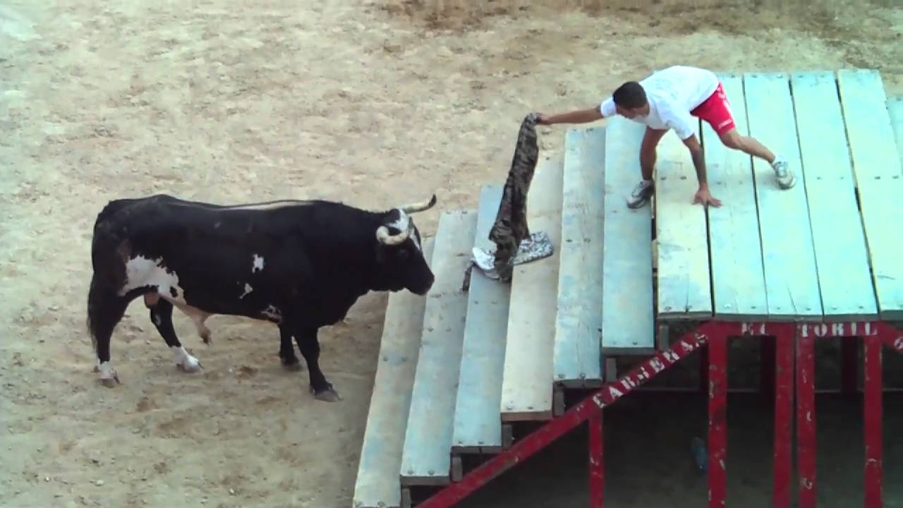 TORO RATON EN RICLA (zaragoza),part.1