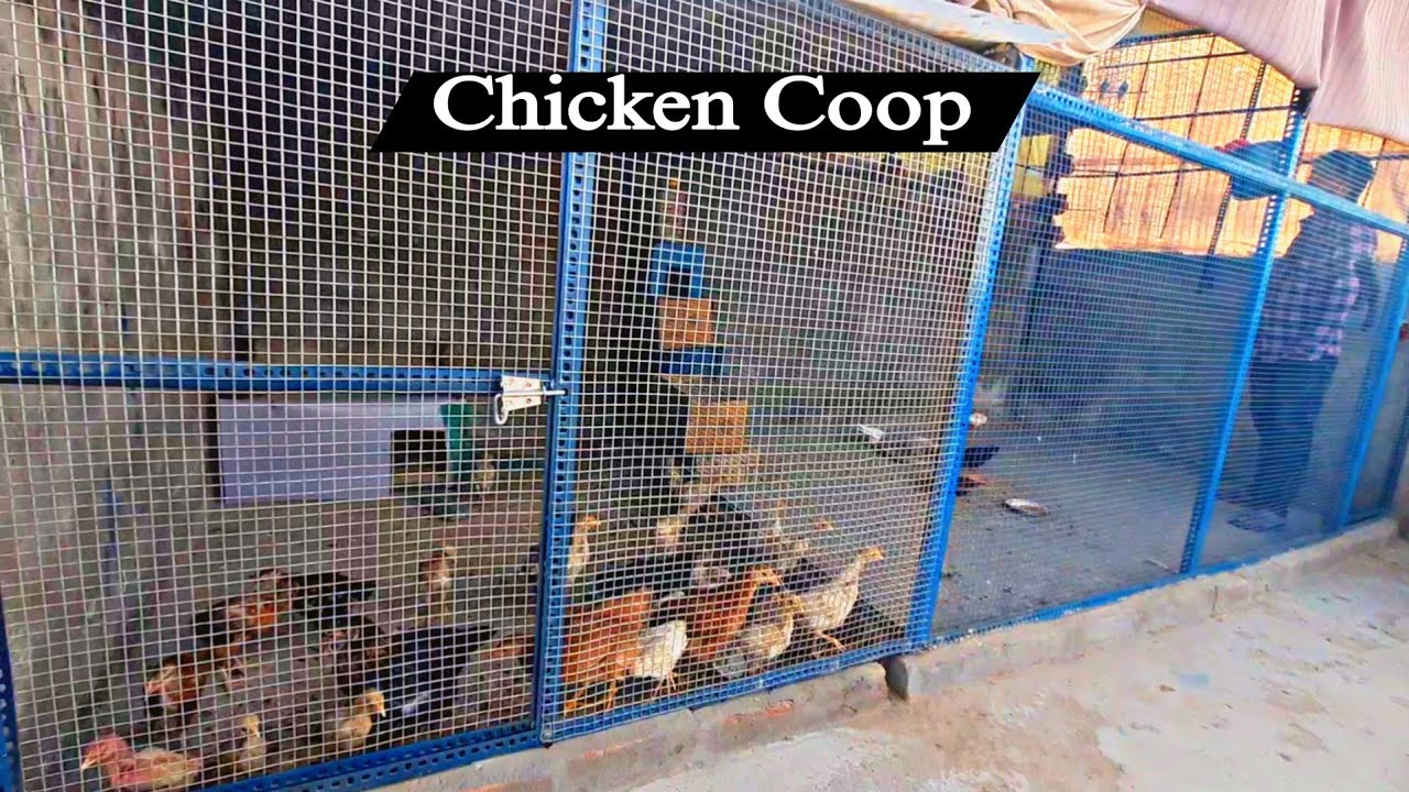 How To Make Chicken Coop Used By Slotted Angle| DIY | Bird Cage