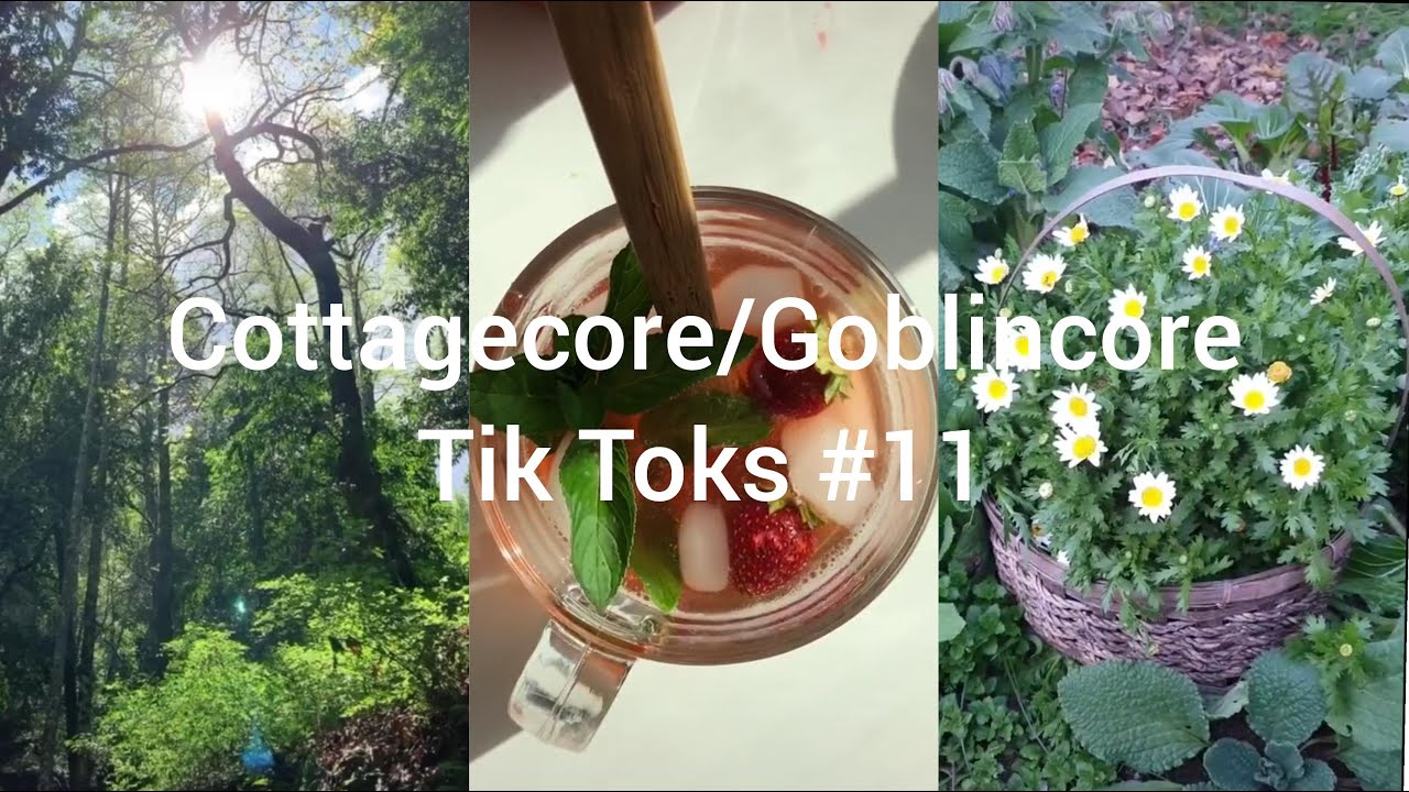 Cottagecore Goblincore Tik Toks #11