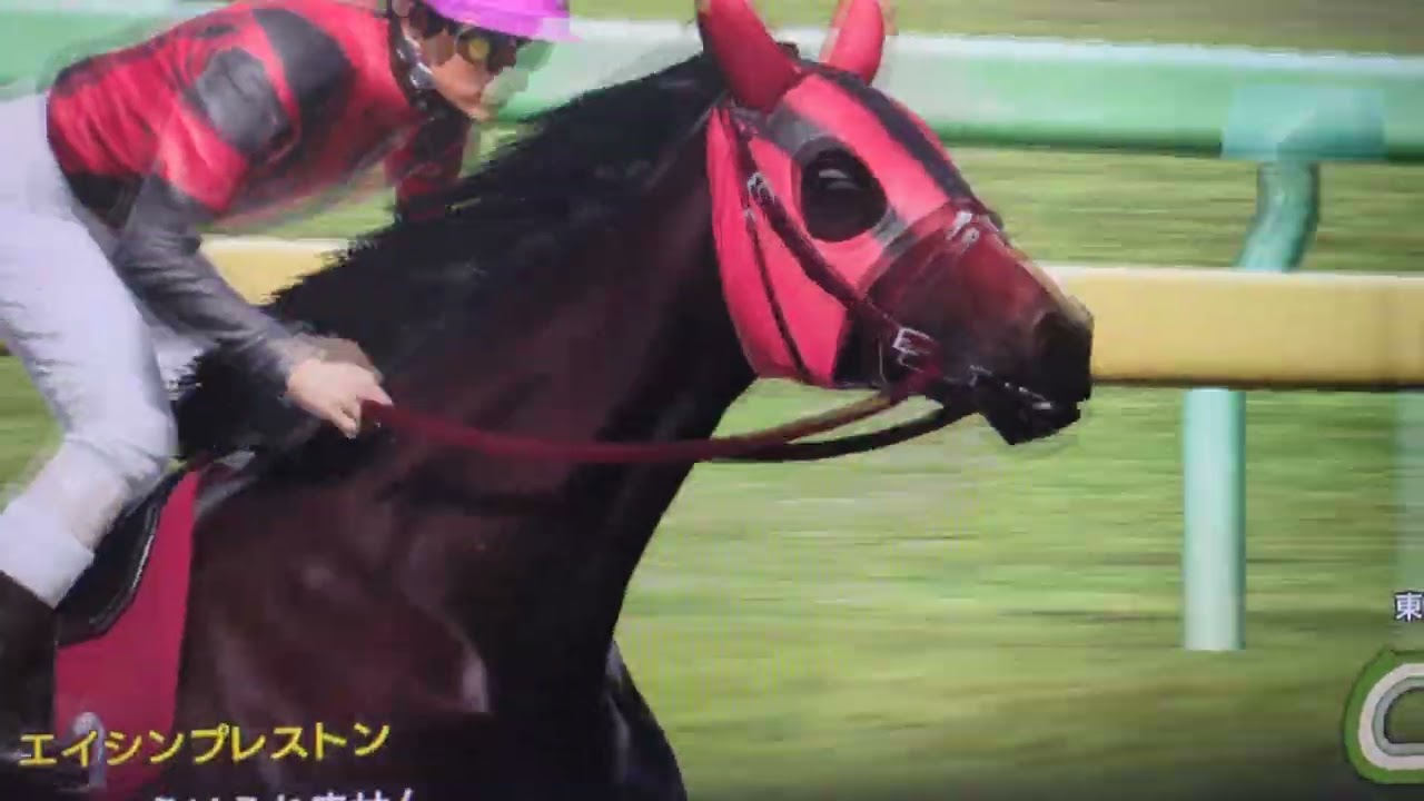 『無』まるで情報が無い！無の動画・流すのには最適『競馬🏇』