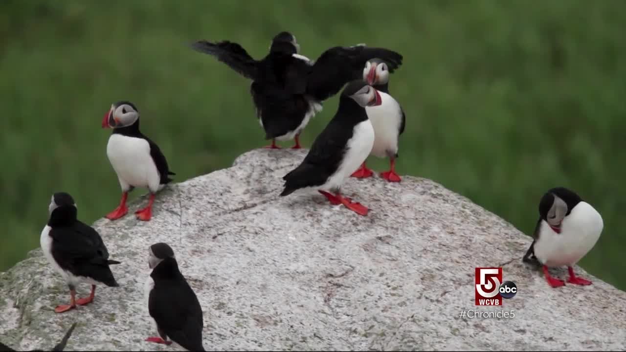 Rockland, Maine: Maine's Wild Midcoast