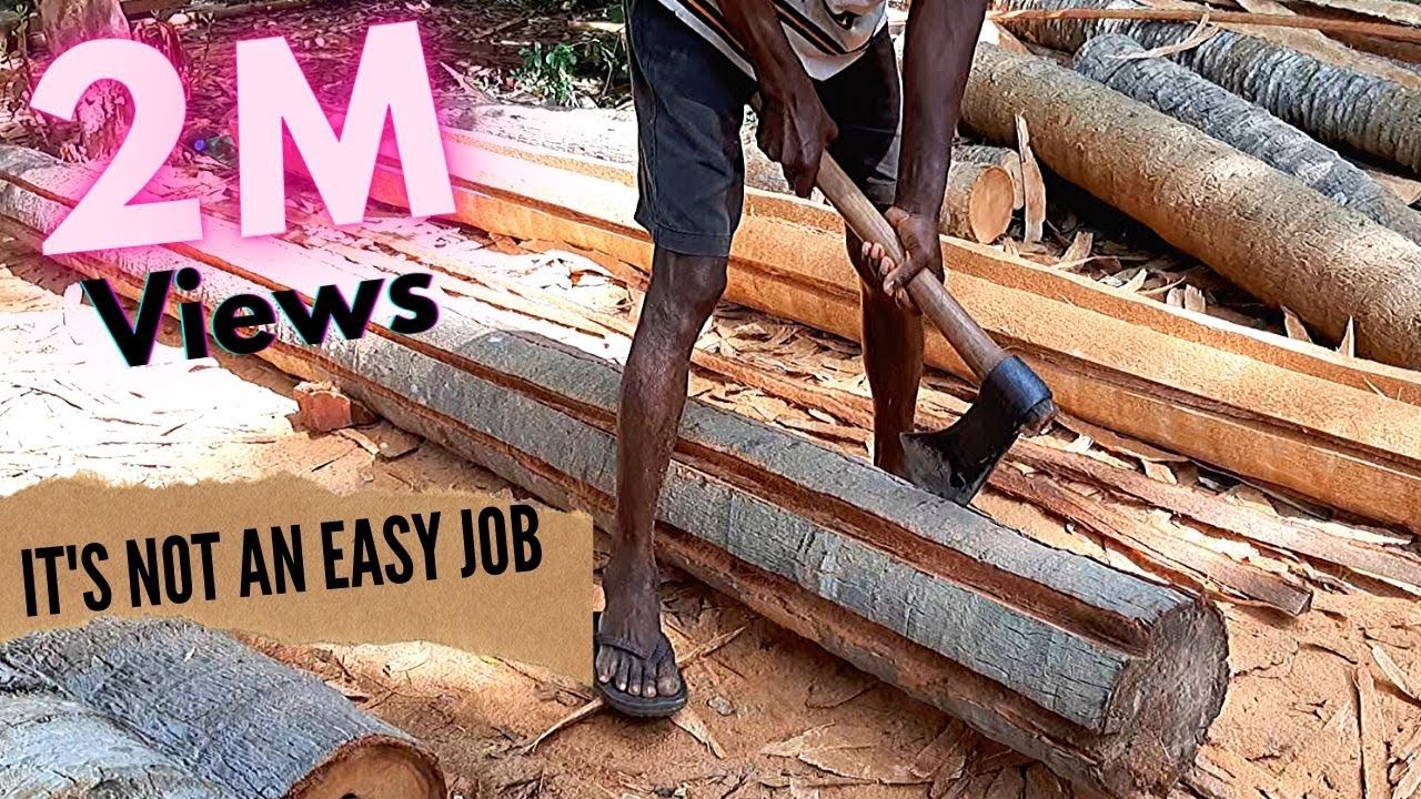How to Make Coconut Tree into Coconut Lumber