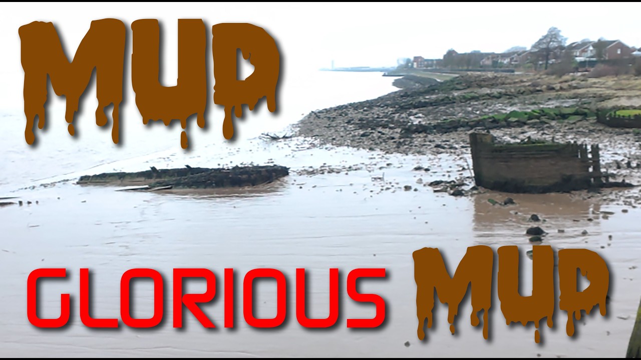 A walk around the Victoria Dock area of Hull