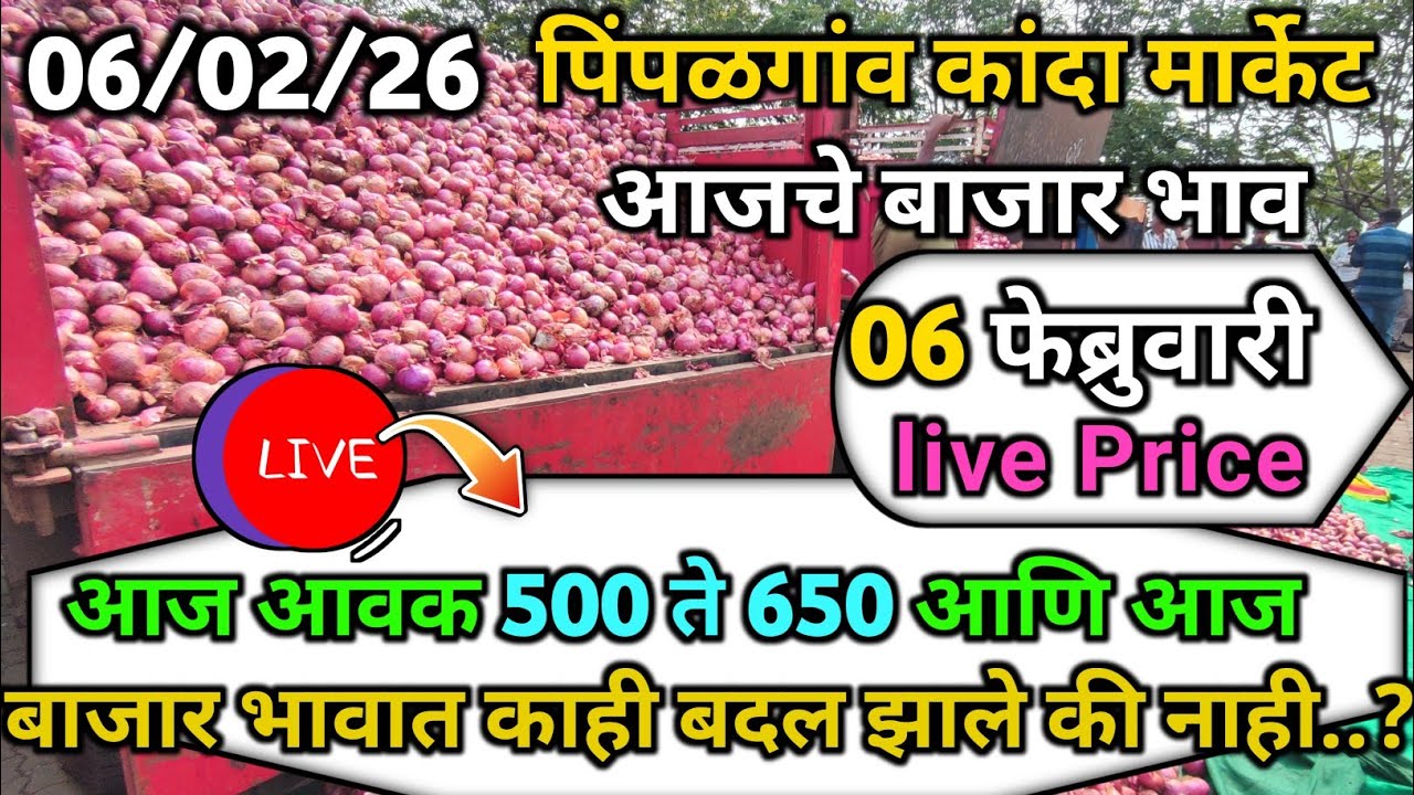 Pimpalgaon Onion Market Price Today:Latest Rates And Insights 06 February 2025