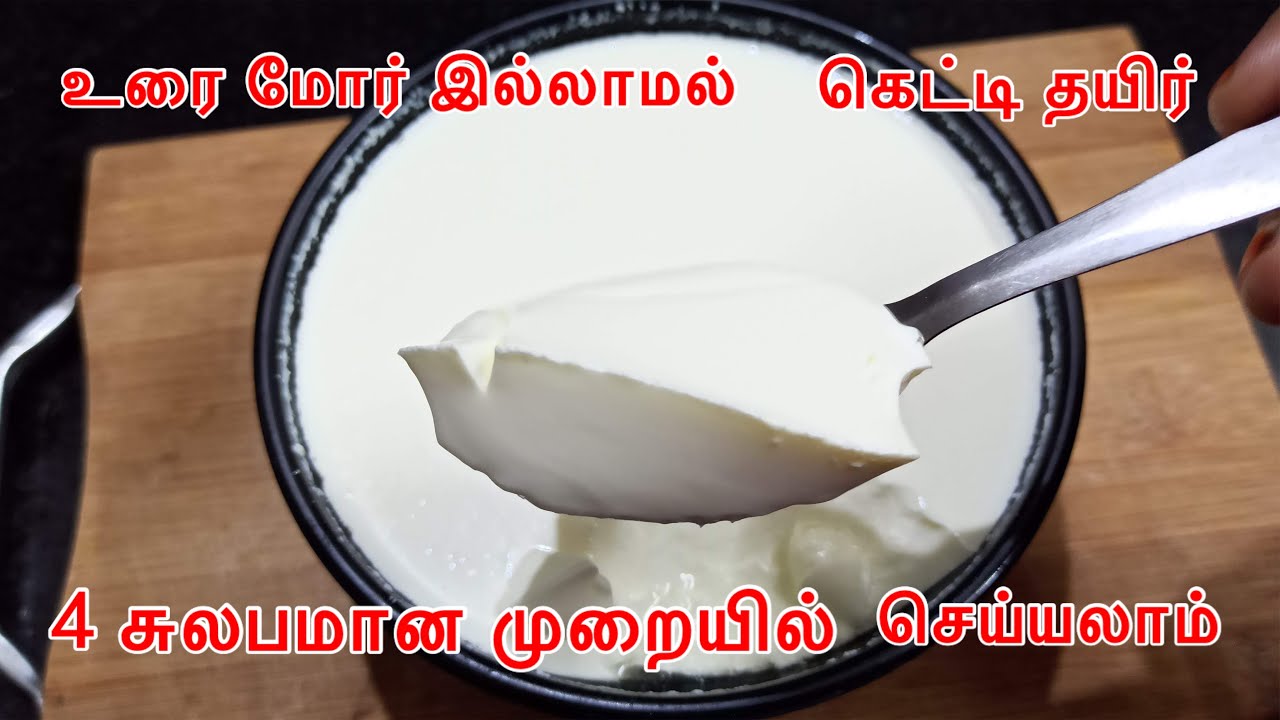 உரை மோர் இல்லாமல் வீட்டிலேயே கெட்டி தயிர் செய்யும்  ரகசியம் !! Thick Curd Recipe Without Starter.