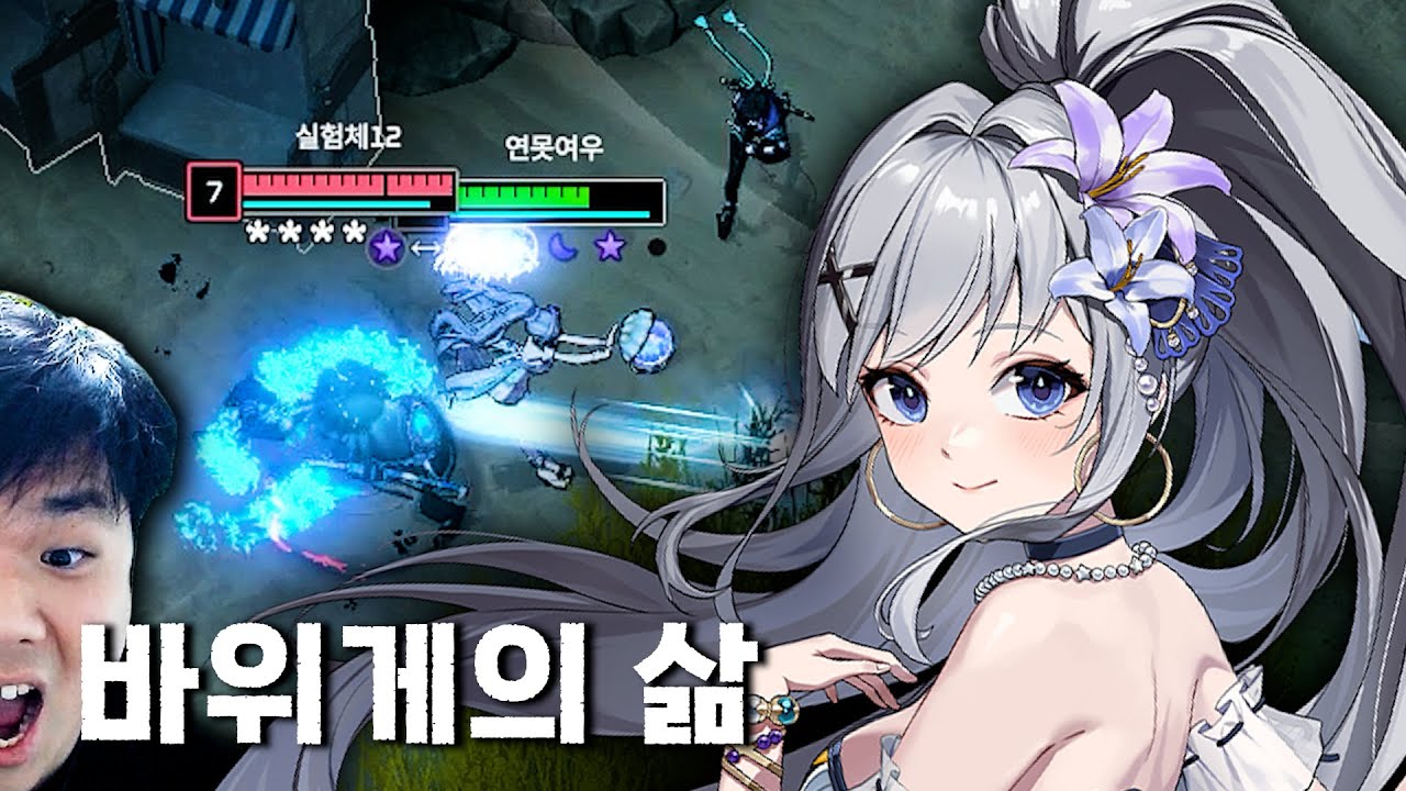 바위게의 생태에 대해 알아보자 / 루미아 다큐멘터리