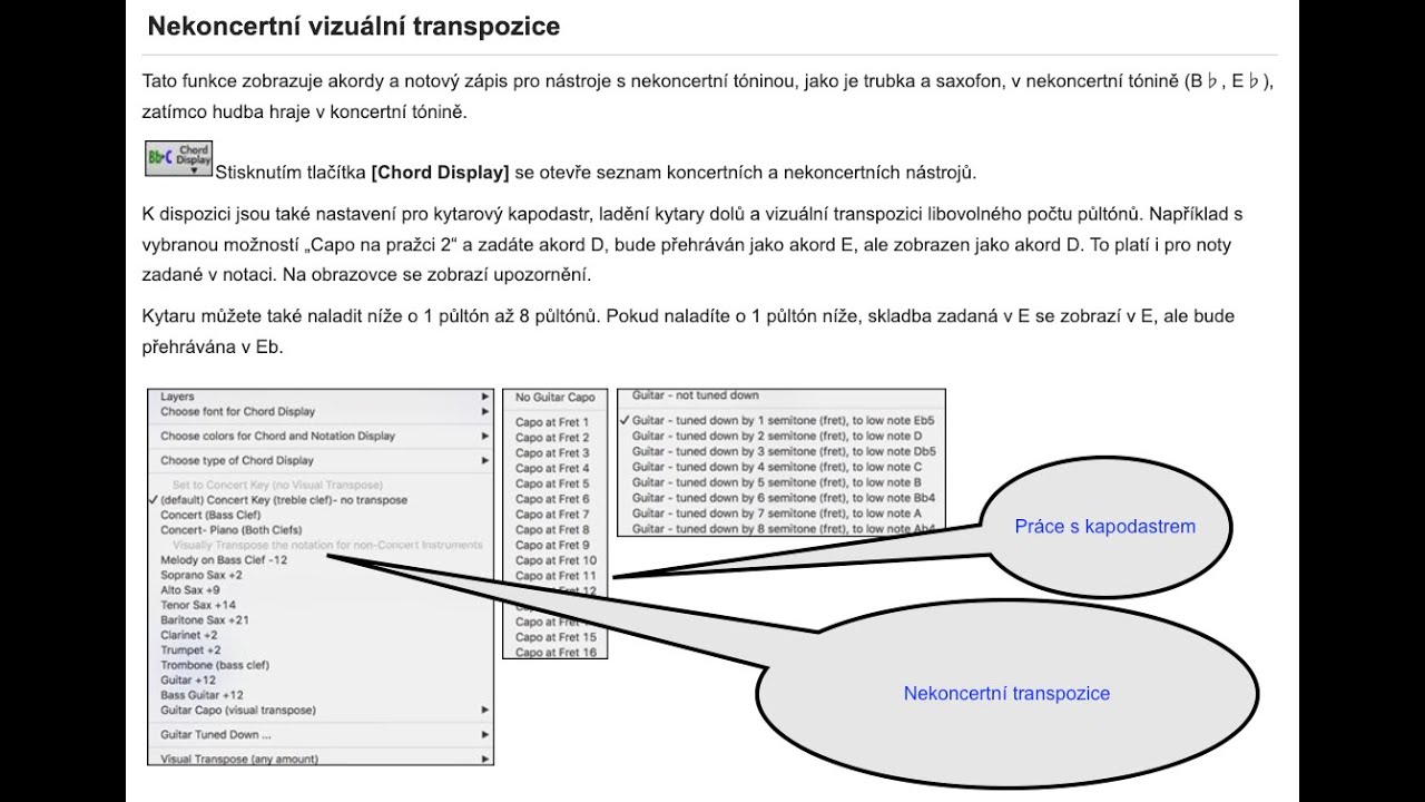 2025-11-10 BIAB Transpozice koncertní - Vizuální - Capodastr