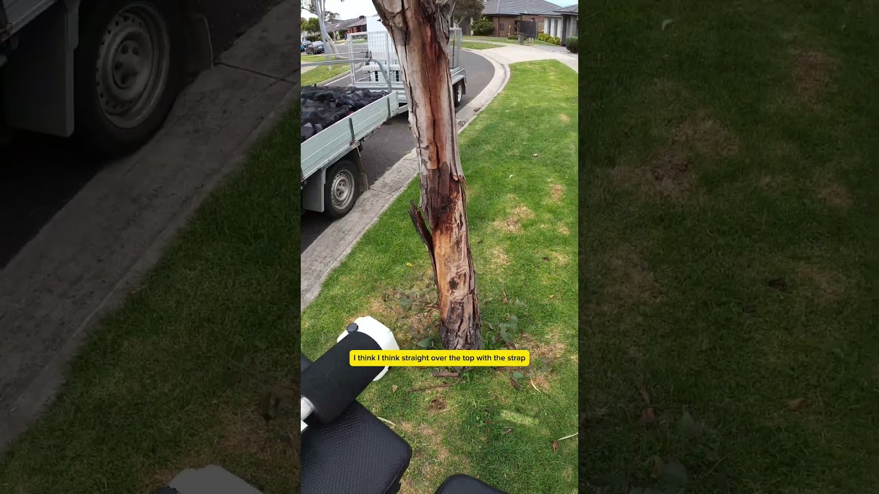 Жим лежа, возможно, хороший, возможно, простой.