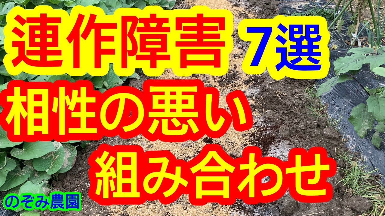 【連作障害】相性の悪い組み合わせを7パターン紹介します！ナス／サツマイモ／ピーマン／ハクサイ／キュウリ／ジャガイモ／ダイコン