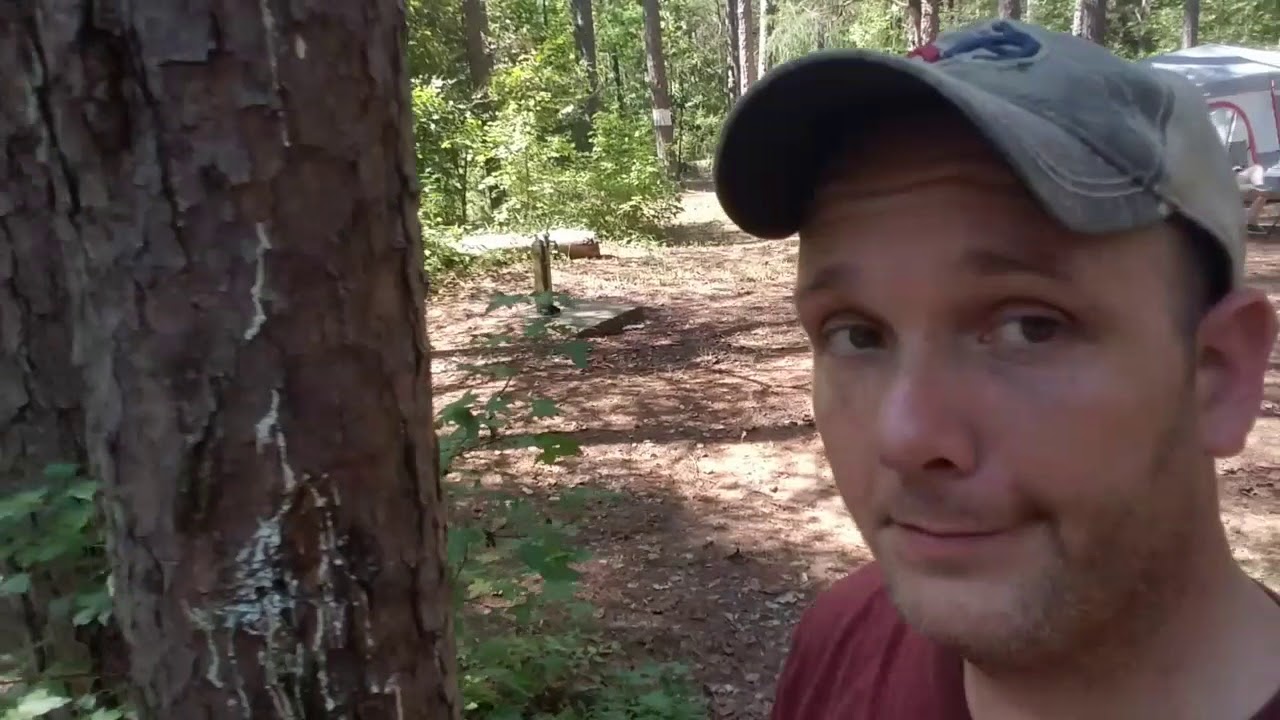 Get cell service when out of range.