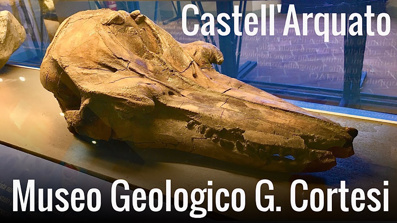 Museo Geologico G. Cortesi - CASTELL'ARQUATO