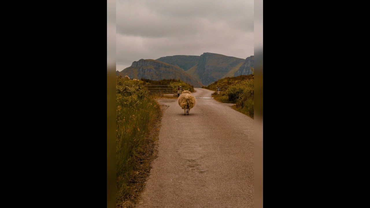 Rush hour 