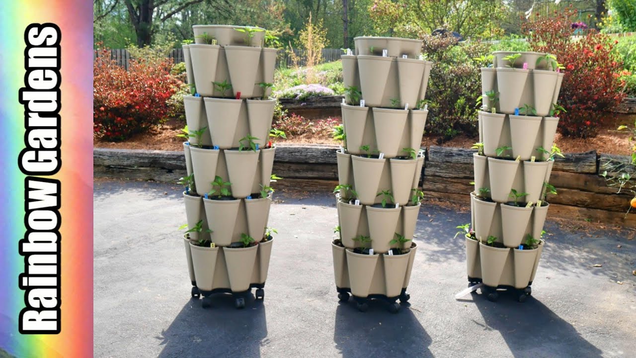 Replanting Peppers in the GreenStalk Vertical Garden - 90 Pepper Plants in Just a Few Square Feet!