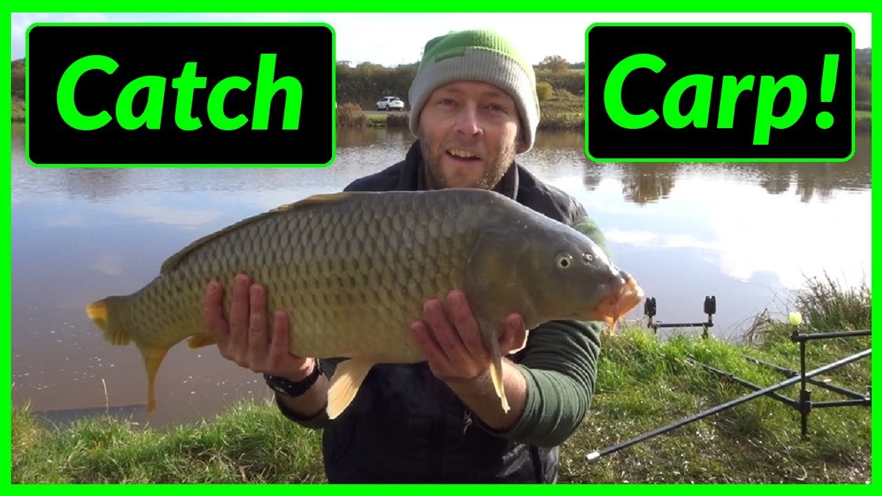 Carp Fishing for Beginners (How to Start Carp Fishing)