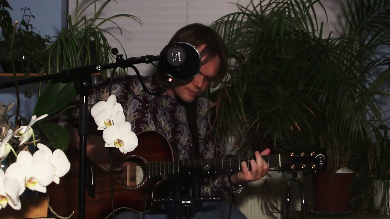 Parliament of Wolves - Starlight Surrounding (Jungle Sessions)