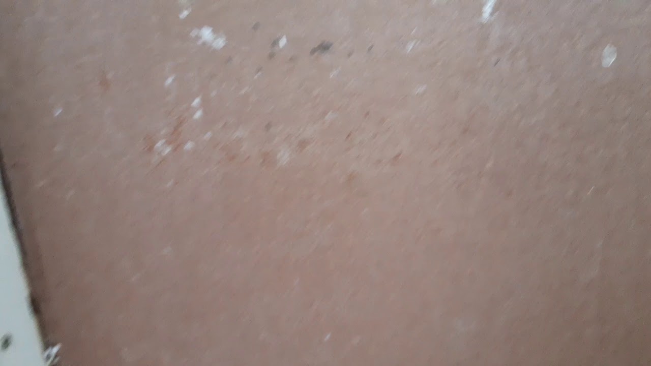 Приколы по домофону 1 часть