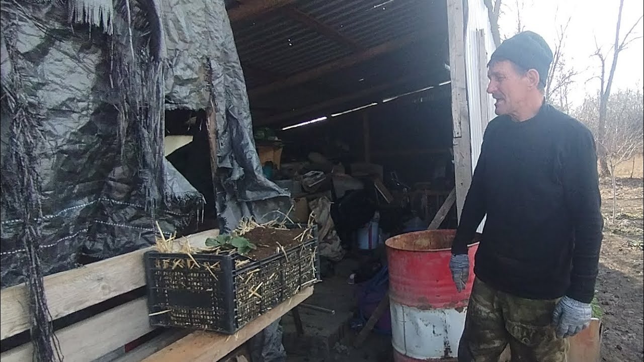 посадка клубники в ящиках . Для тех у кого маленький огород 🙂