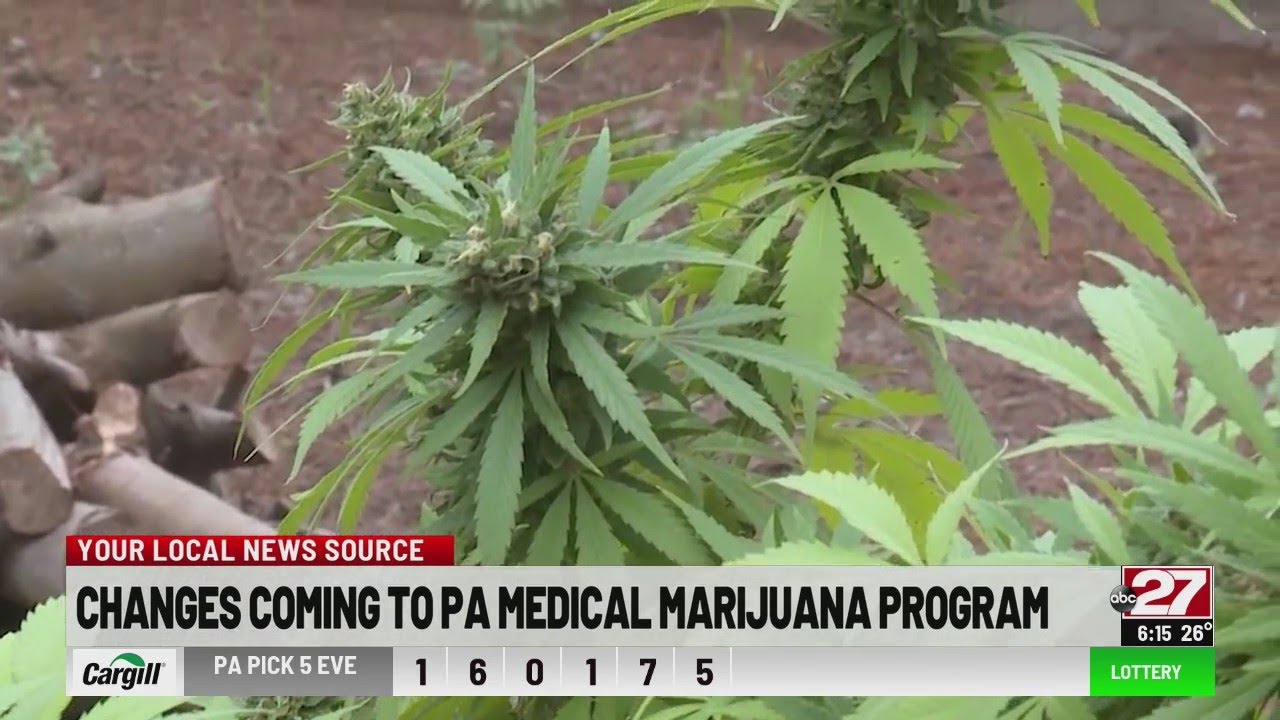 Pa. Health Department bans non-FDA approved products from medical marijuana program