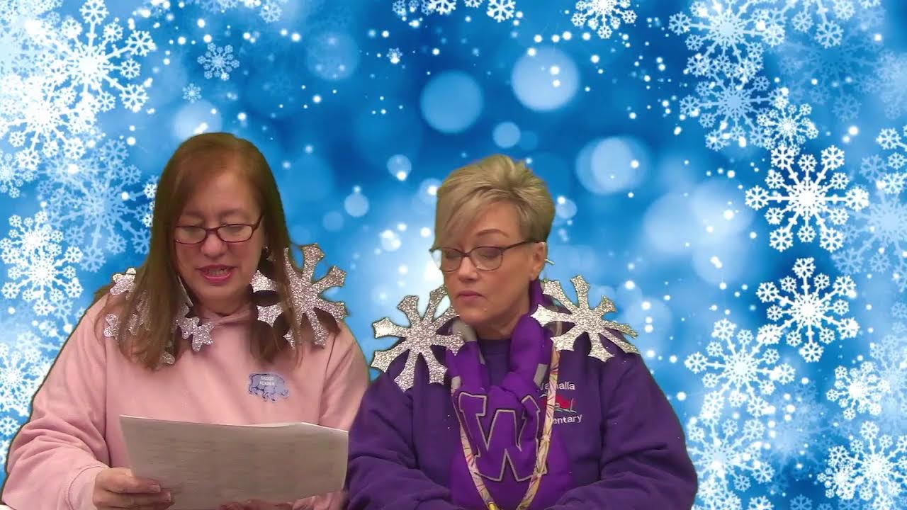 Walhalla Elementary School Live Stream