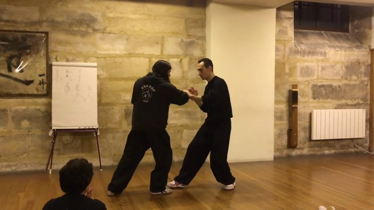 Tuishou, Pascal Plée, extraits de stage 3
