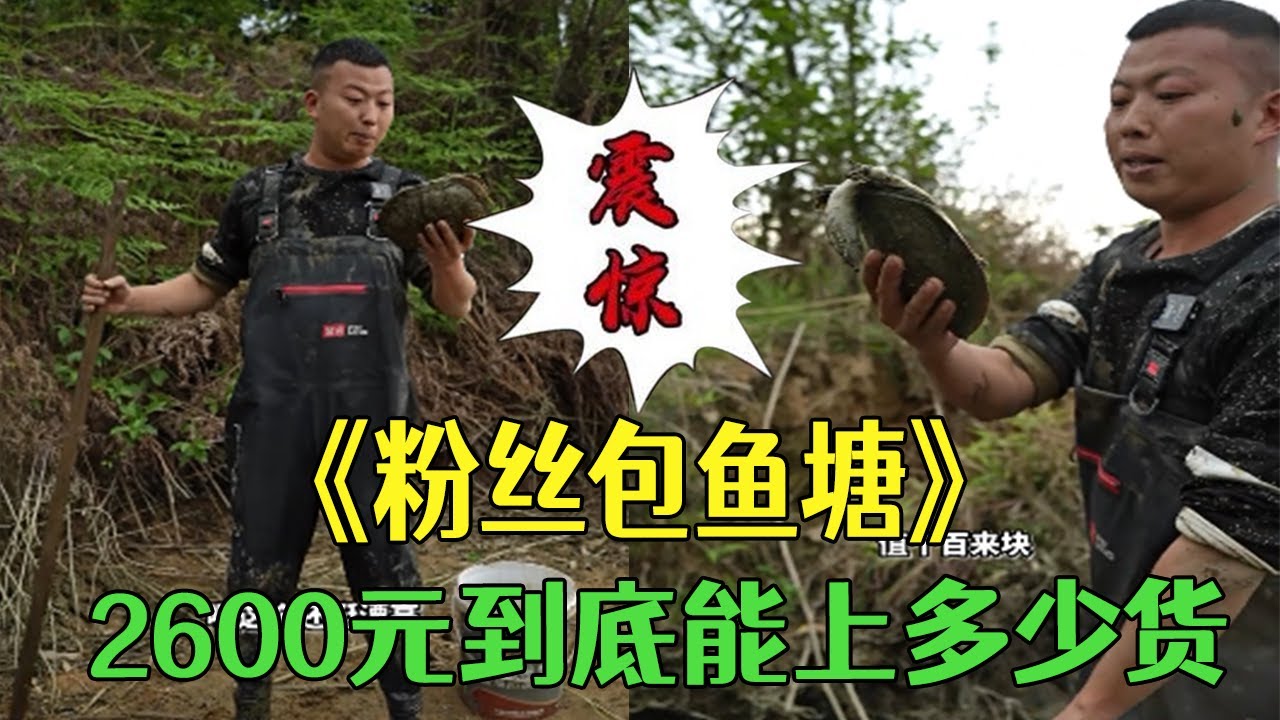 幫粉絲朋友包個魚塘，2600元到底能上多少貨？#小飛哥#新農人計劃2026 #三農  #鄉村守護人 #包塘