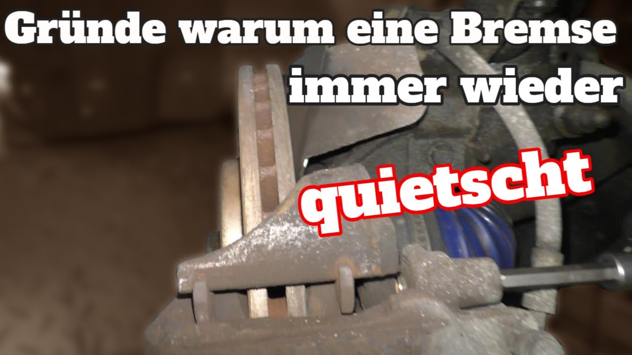 Warum quietschen Bremsen immer wieder?