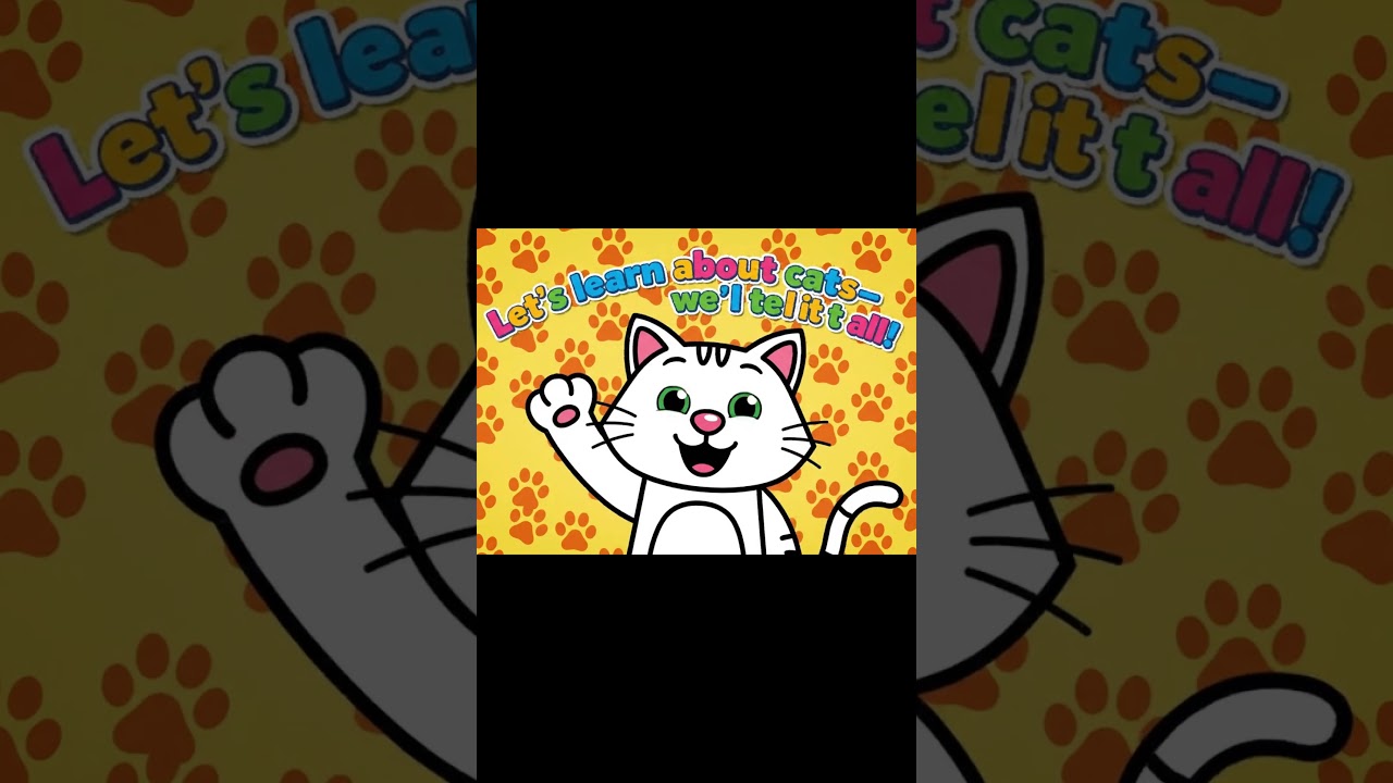 Are you guys ready to learn about cats? Let's dive into the journey of learning together😸