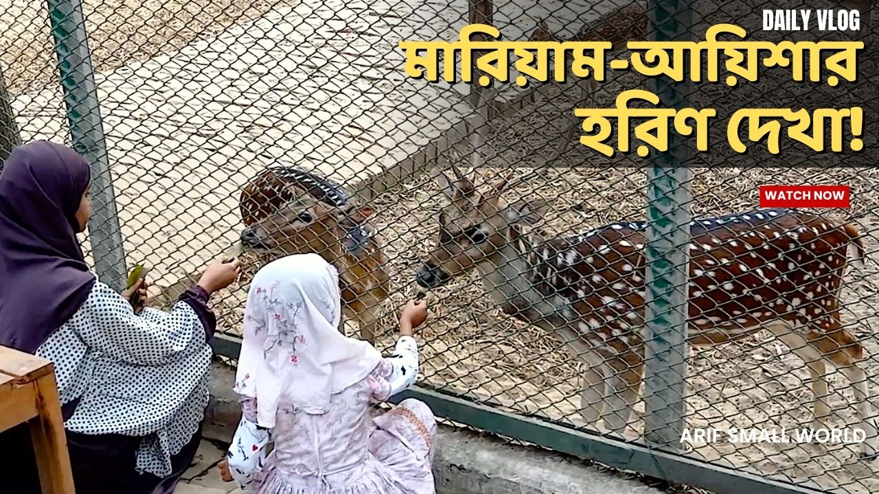 মারিয়াম ও আয়িশার হরিণের সাথে কাটানো দারুণ কিছু সময়!