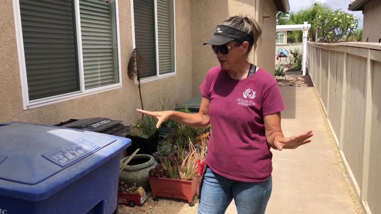 Chula Vista Succulent Garden Installation GRAND REVEAL