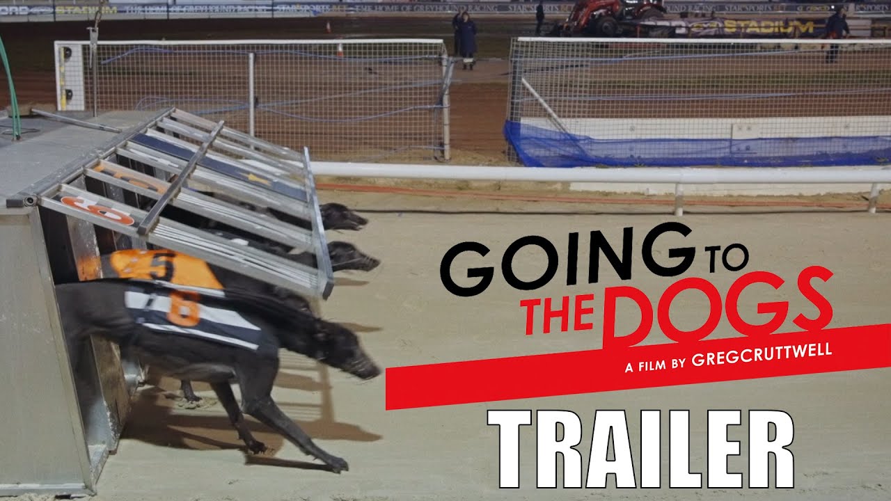 «GOING TO THE DOGS» — документальный фильм о собачьих бегах в кинотеатрах Великобритании с 7 ноября
