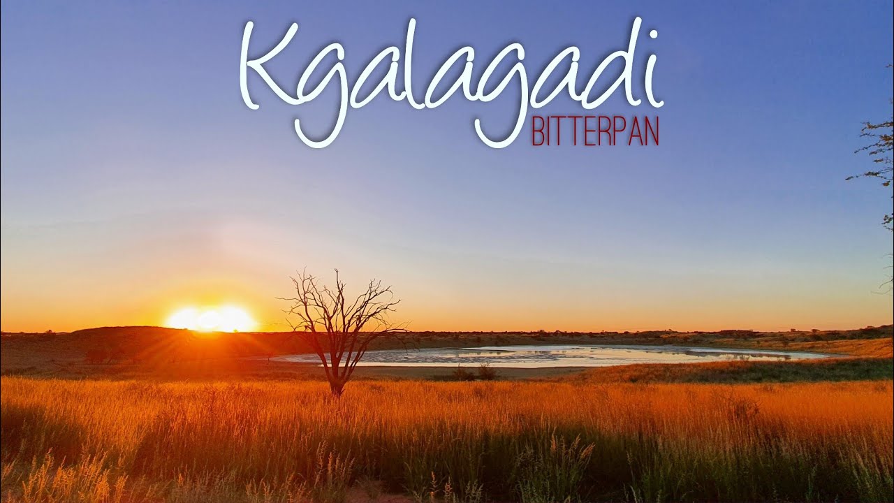 Cheetahs are hunting as we head to Bitterpan, Kgalagadi | South Africa | Part3/6