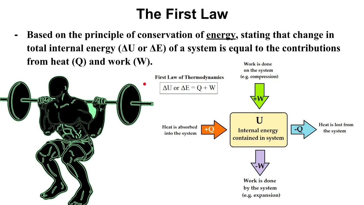MCAT ACE Chemistry 20 - Thermodynamics Simplified: Laws, Heat Transfer, and Free Energy
