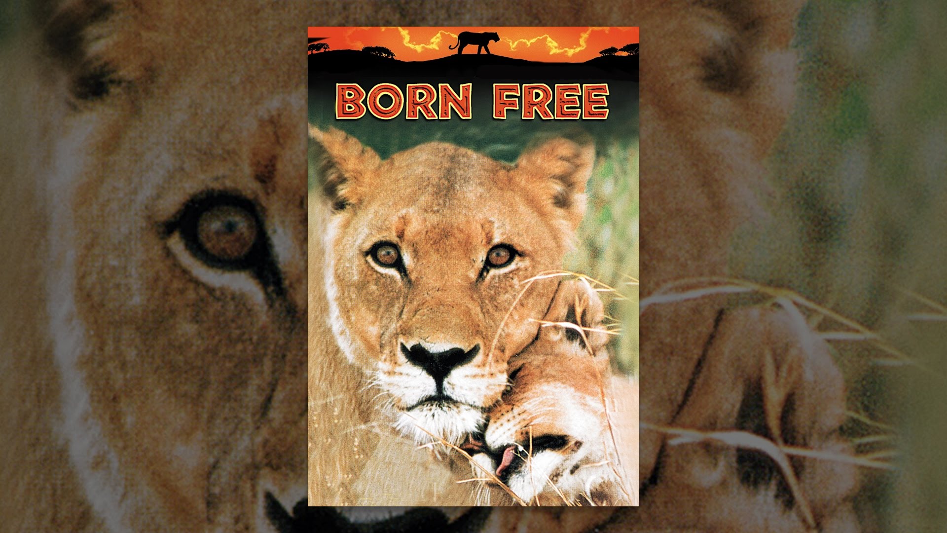Born Free (1965)