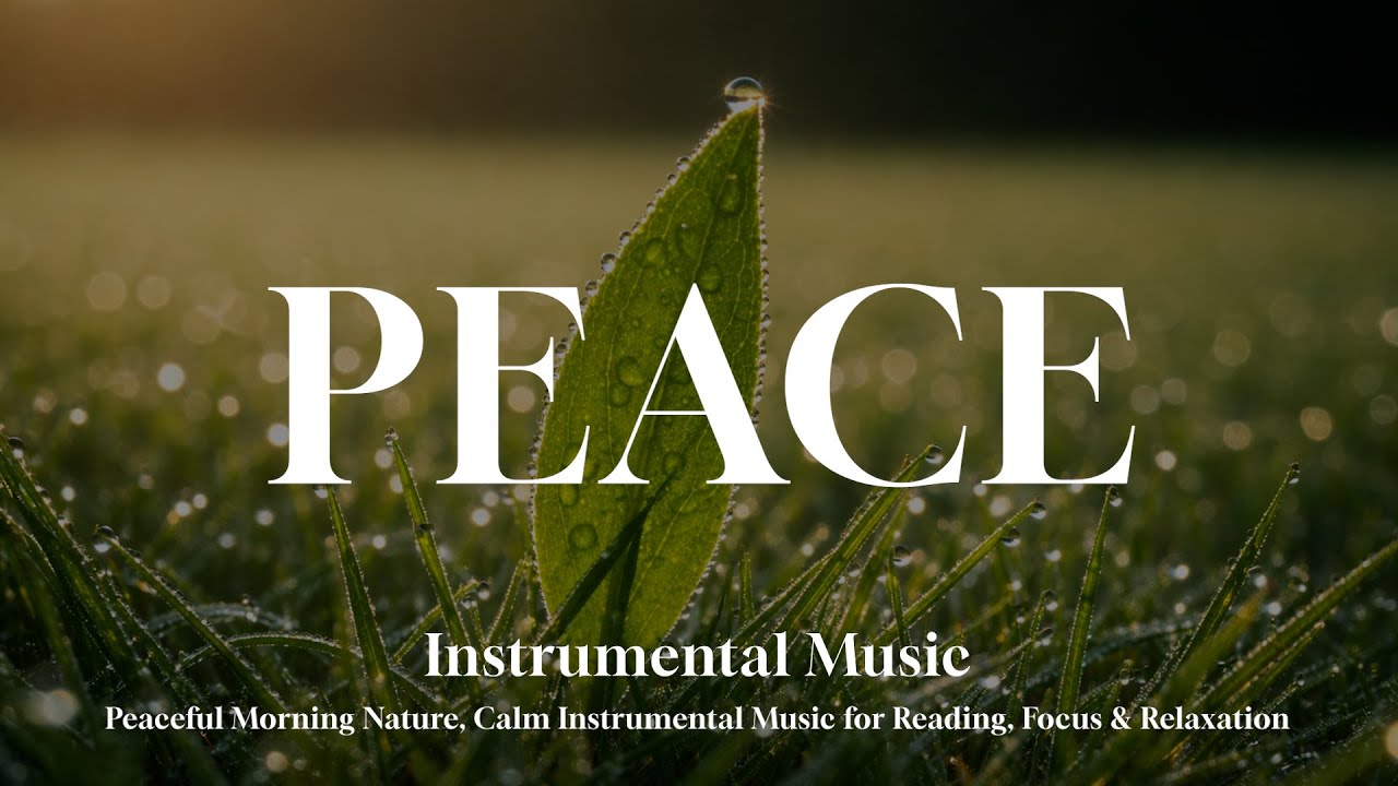 Peaceful Morning Nature 🌿 Calm Instrumental Music for Reading, Focus & Relaxation