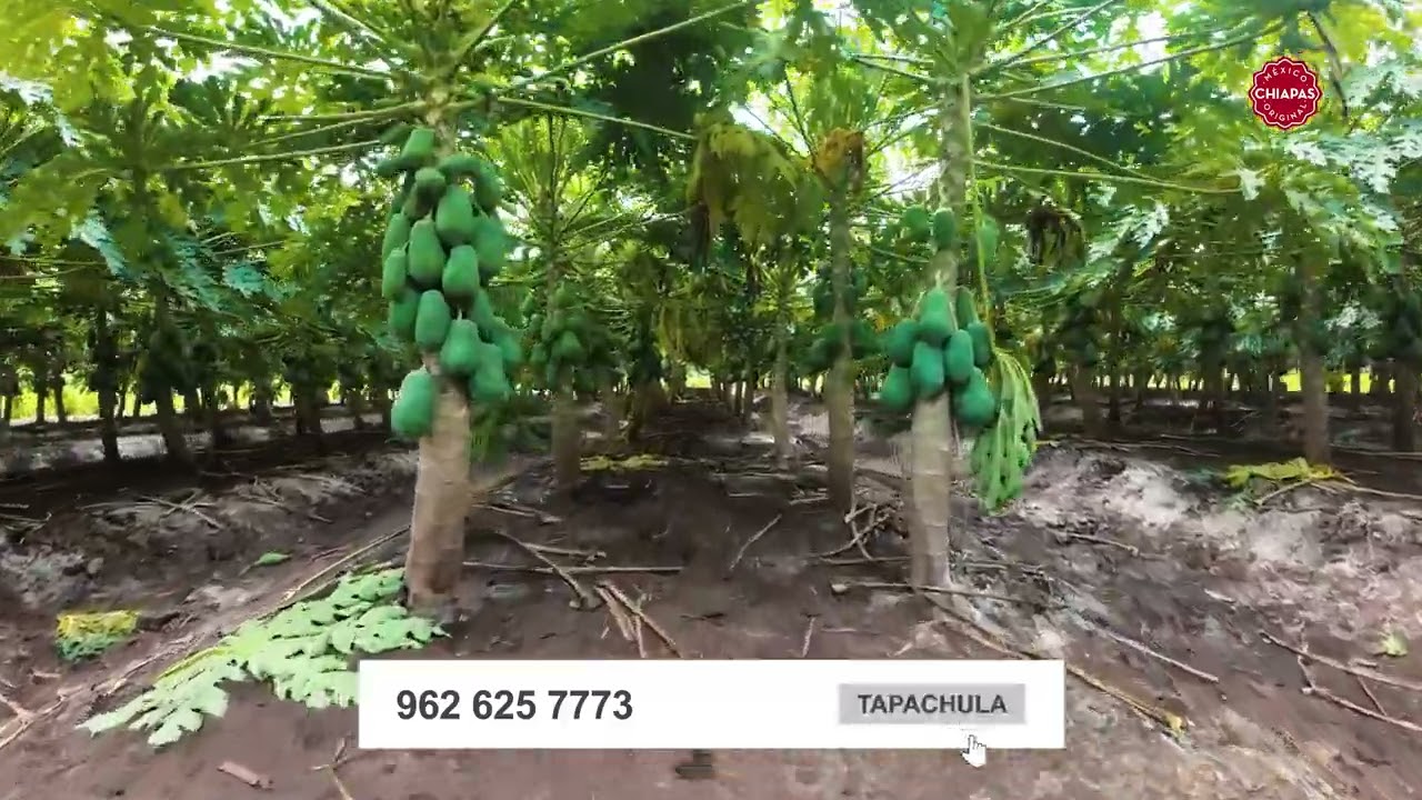 Conozcamos la #HistoriaDeÉxito de Agromod