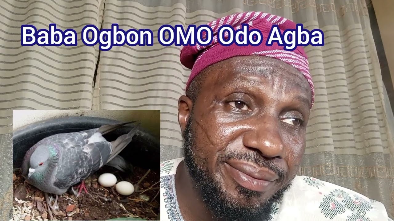 ADODUN TO DAJU SAKA, +2348032983298, +22954651928, +225 0506134943