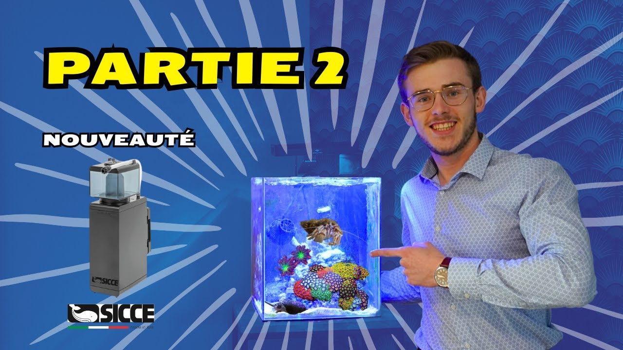 J'introduis des Coraux et Invertébrés dans mon Nano Aquarium Récifal