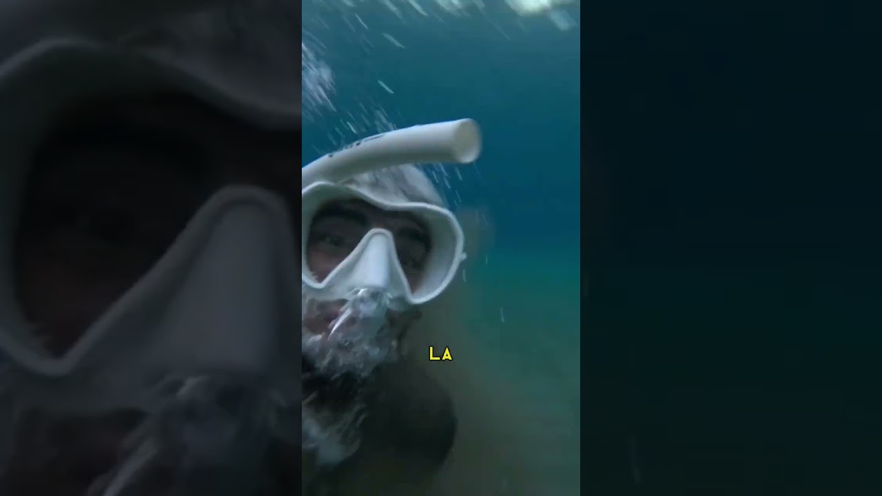 Encontré el tapón del oceano y lo sacamos 😱🌪️  #islascanarias #dive #tenerife #snorkeling #buceo