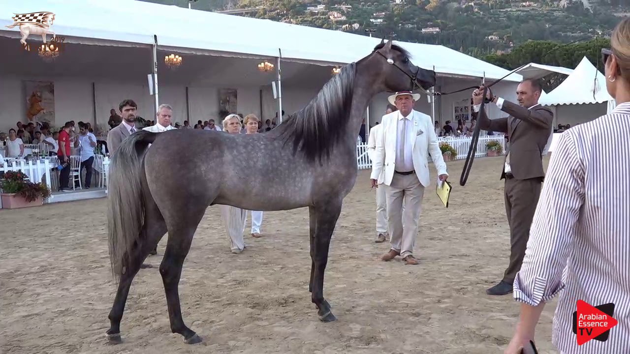 N.122 EKS FARAJJ - Menton 2019